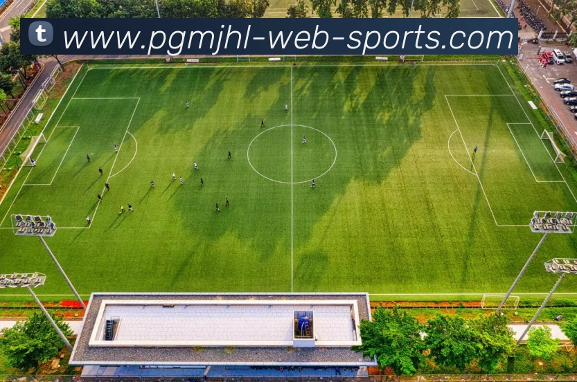 麻将胡了平台生态图